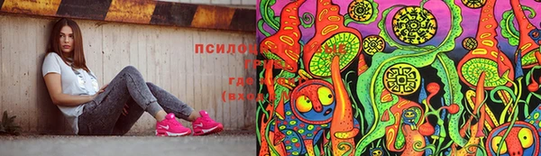 эйфоретик Алексин