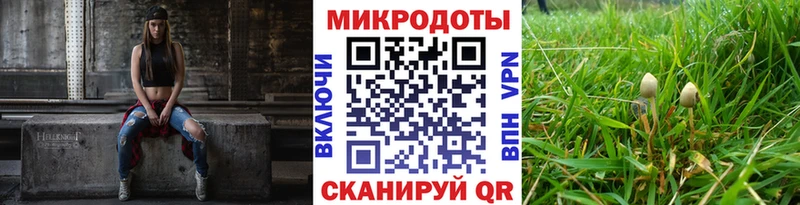 где найти   Сусуман  Галлюциногенные грибы мицелий 